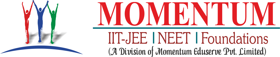 Momentum Logo